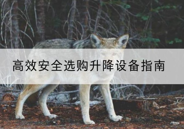 江夏升降货梯厂家推荐-*安全选购升降设备指南