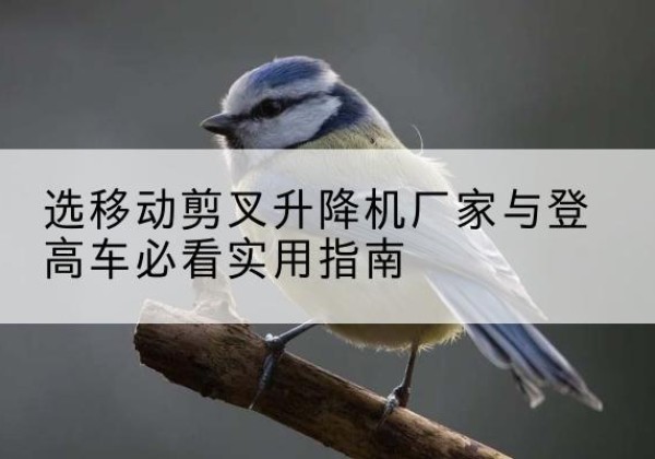 江夏电动升降机厂家-选移动剪叉升降机厂家与登高车必看实用指南