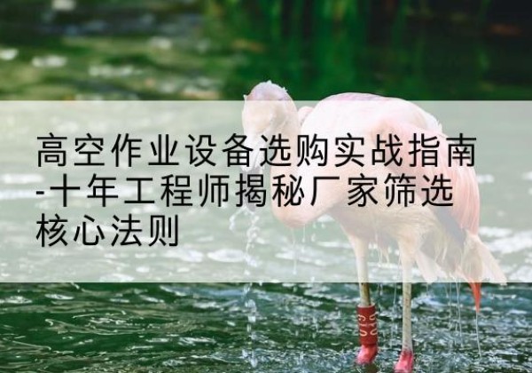 江夏剪叉式升降机厂家-高空作业设备选购实战指南-十年工程师揭秘厂家筛选核心法则